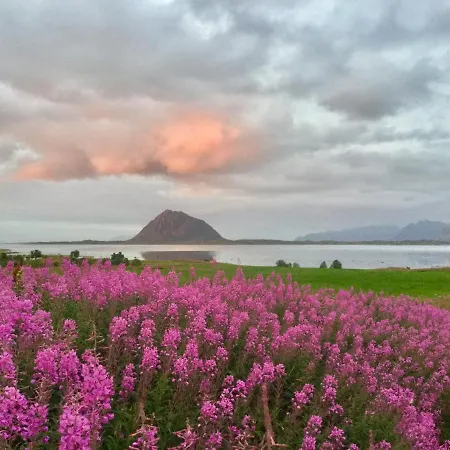 ホームステイ Lofoten Kajakk Smedvik