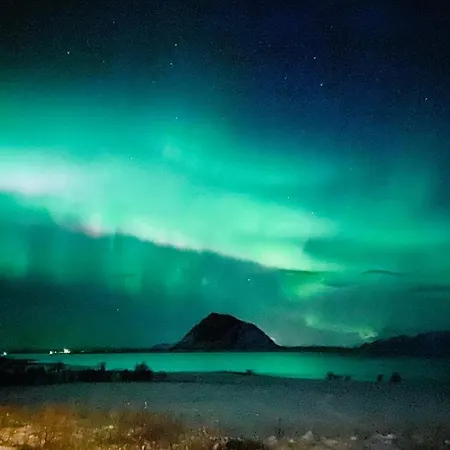 Lofoten Kajakk ホームステイ