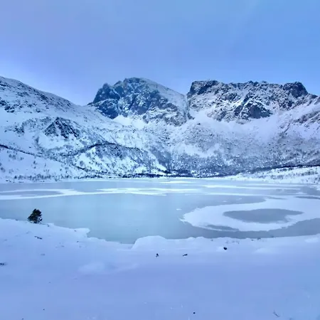 ホームステイ Lofoten Kajakk
