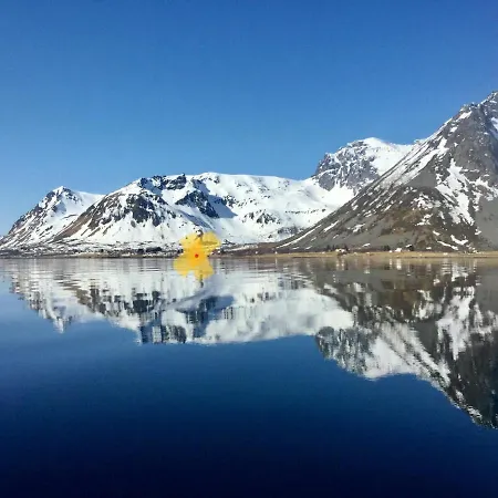 Lofoten Kajakk Homestay *