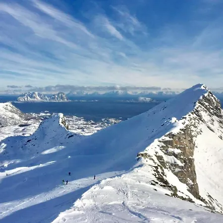Lofoten Kajakk