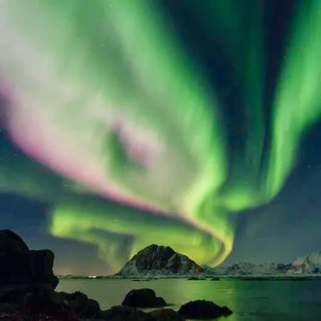 Lofoten Kajakk Smedvik