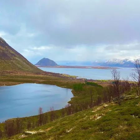 Homestay Lofoten Kajakk