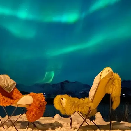 Homestay Lofoten Kajakk *