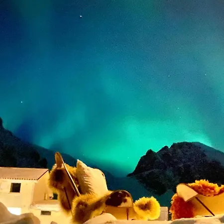 Homestay Lofoten Kajakk