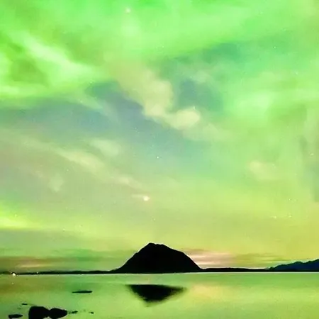 Lofoten Kajakk Homestay *